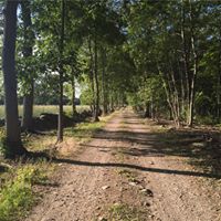 Dan Winslow Photo 14