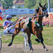 Virginia Trotter Photo 9