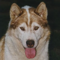 Sue Hamilton Photo 32 Sue Hamilton Photo 32