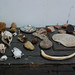 Brenda Sharp Photo 35