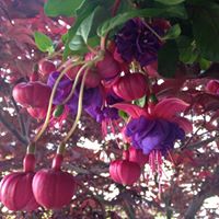 Kristi Bennett Photo 31