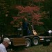 Carole Meadows Photo 23