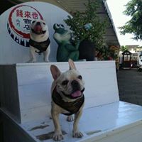Joanne Tu Photo 3