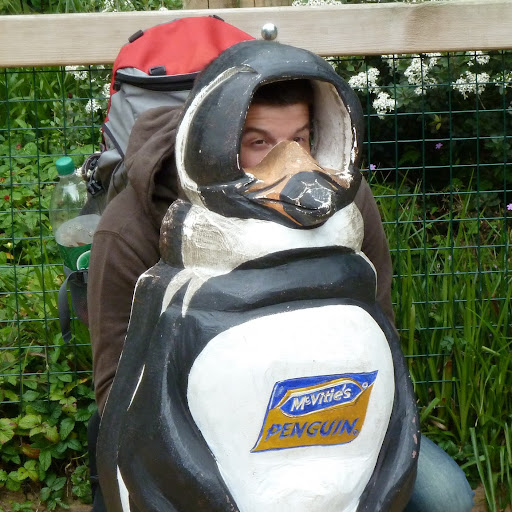 David Grass Photo 37