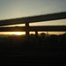 Bart Richardson Photo 9