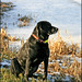 Julie Rivers Photo 29