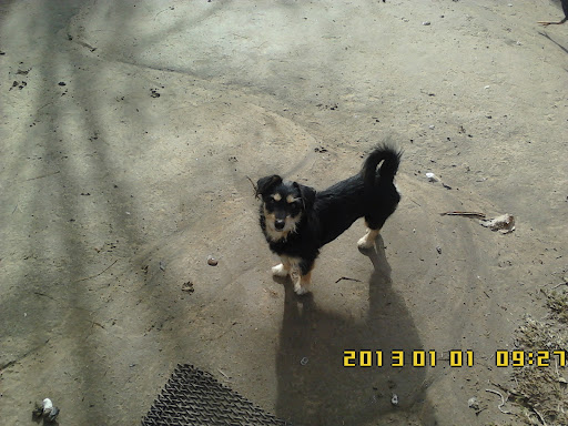 Andrea Fuentes Photo 37