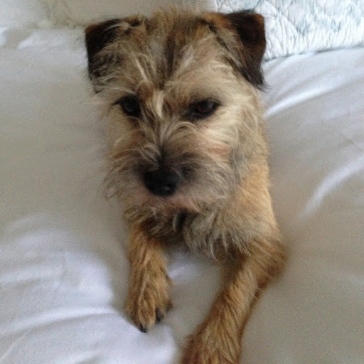 Julie Crocker Photo 22