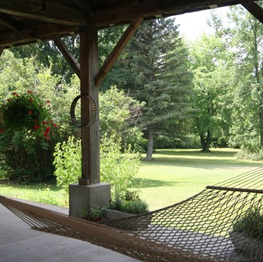 Robin Gould Photo 15