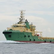 Harry Perry Photo 36