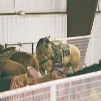 Russell Graves Photo 21