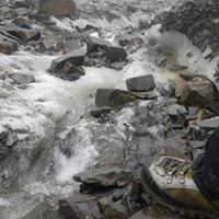 Mary Ferris Photo 28