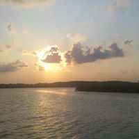 Larry Cheek Photo 23