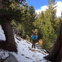 Stephanie Brady Photo 20