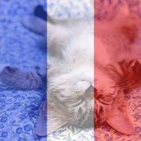 Michele Ebert Photo 20