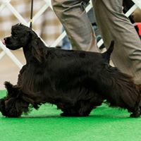 Diane Lindner Photo 20