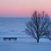 Jean Winters Photo 10