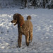 Aimee Barney Photo 7