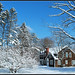Ann Winters Photo 28
