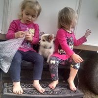 Jessica Bergeron Photo 27