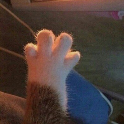 Julia Stone Photo 12 Julia Stone Photo 12