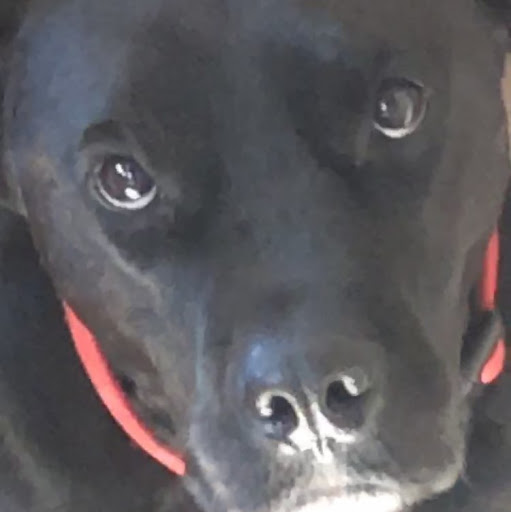 Charlie Summers Photo 20