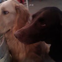 Kathryn Unger Photo 12
