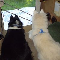 Deborah Riehl Photo 3