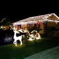Linda Hatch Photo 29