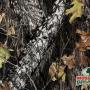Jessie Culp Photo 8