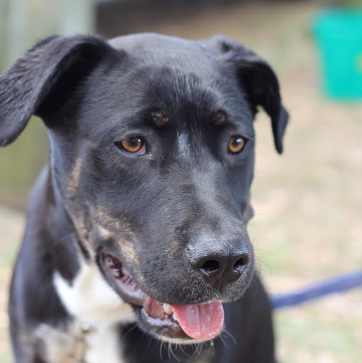 Sue Connolly Photo 10