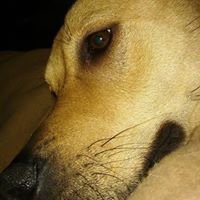 Rachel Booker Photo 30