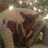 Janice Whitehead Photo 17