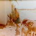 Dan Walls Photo 16