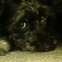 Angela Appleby Photo 16