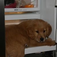 Debbie Browning Photo 19