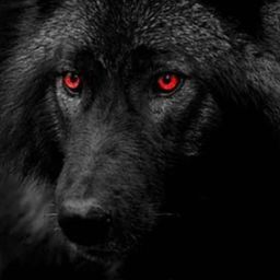 Chad Little Photo 20 Chad Little Photo 20