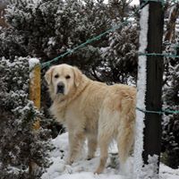 Bob Waldron Photo 12