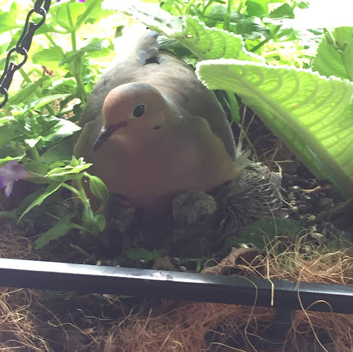 Kristin Keller Photo 11