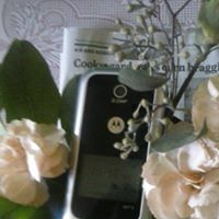 Lynn Tippett Photo 4