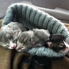 Christine Hubbard Photo 23
