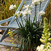 Linda Pollard Photo 38