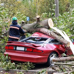 Joel Hubbard Photo 14