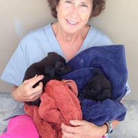 Joan Abbott Photo 25