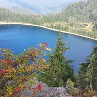 Deborah Hope Photo 26