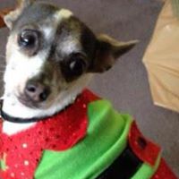 Steve Brewer Photo 10