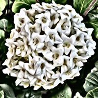 Michael Kinard Photo 15