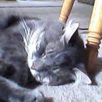 Sue Rodriguez Photo 10