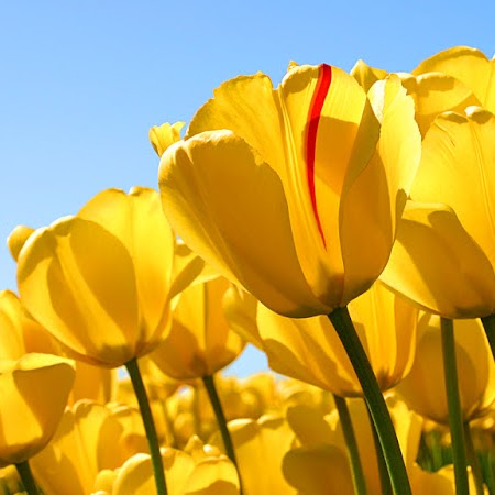 Cindy Patrick Photo 17