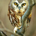 Megan Lorenz Photo 18
